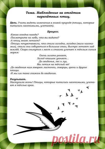 #игры@raz.deti 

КАРТОТЕКА НАБЛЮДЕНИЙ ЗА ПРИРОДОЙ