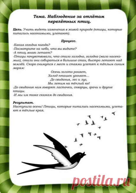 #игры@raz.deti 

КАРТОТЕКА НАБЛЮДЕНИЙ ЗА ПРИРОДОЙ