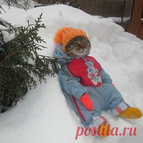 Скорее бы бабушке внуков родили