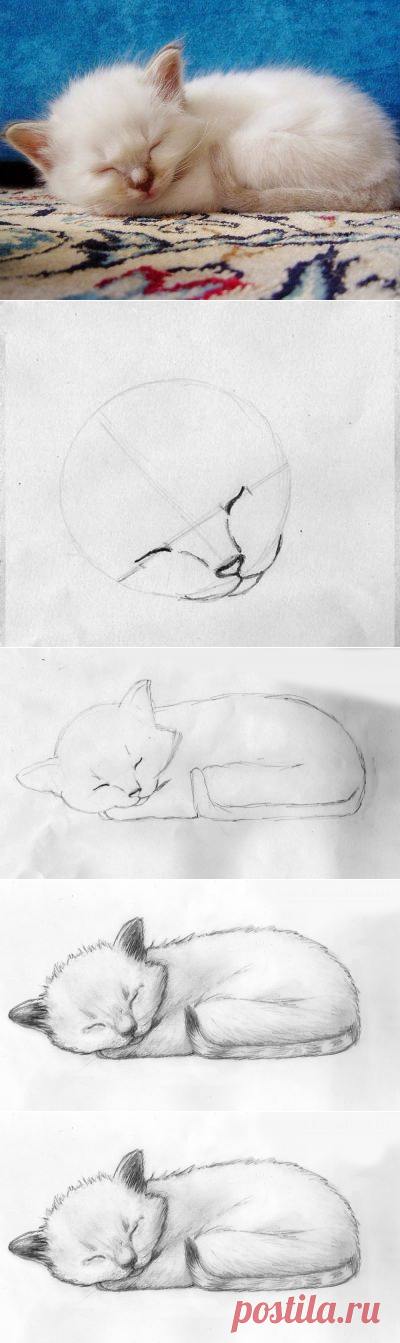 Рисуем милого котёнка — Сделай сам, идеи для творчества - DIY Ideas