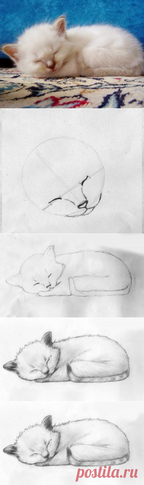 Рисуем милого котёнка — Сделай сам, идеи для творчества - DIY Ideas