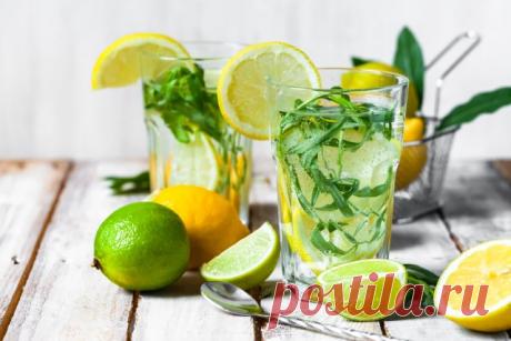 7 домашних настоек на травах и зелени | Статьи (Огород.ru)