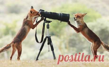 20 бесподобных фотографий, сделанных в нужный момент