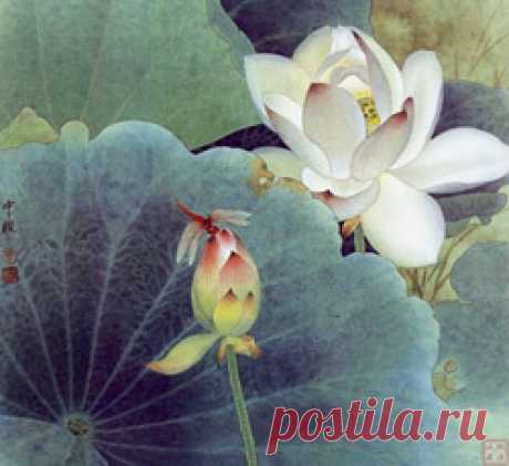 Гороскопы сонник гадания - Равных в инете нет !!!