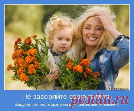 ЖИВЕМ ПОЗИТИВНО И С ЮМОРОМ..! - 23 фото. Фотографии Тамара Колинченко.