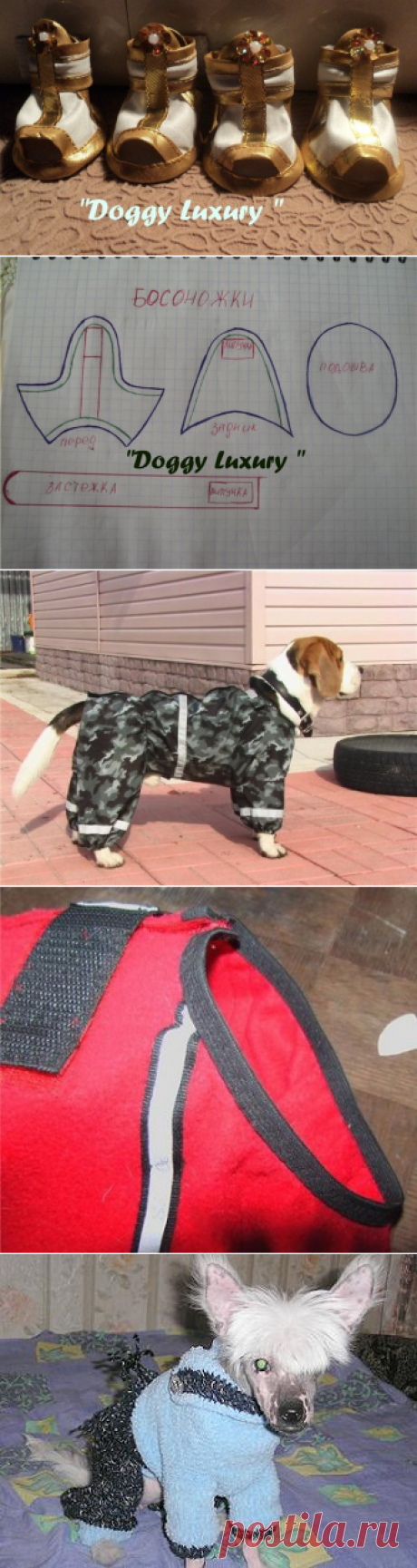 Одежда для собак | Записи в рубрике Одежда для собак | Дневник arzu1
