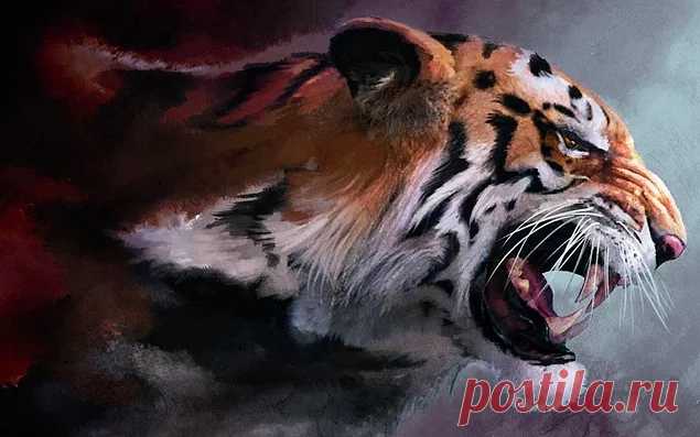 Психологический тест: Хищник, которого вы увидели первым, расскажет, к какому из двух типов личности относитесь вы - onedio.ru