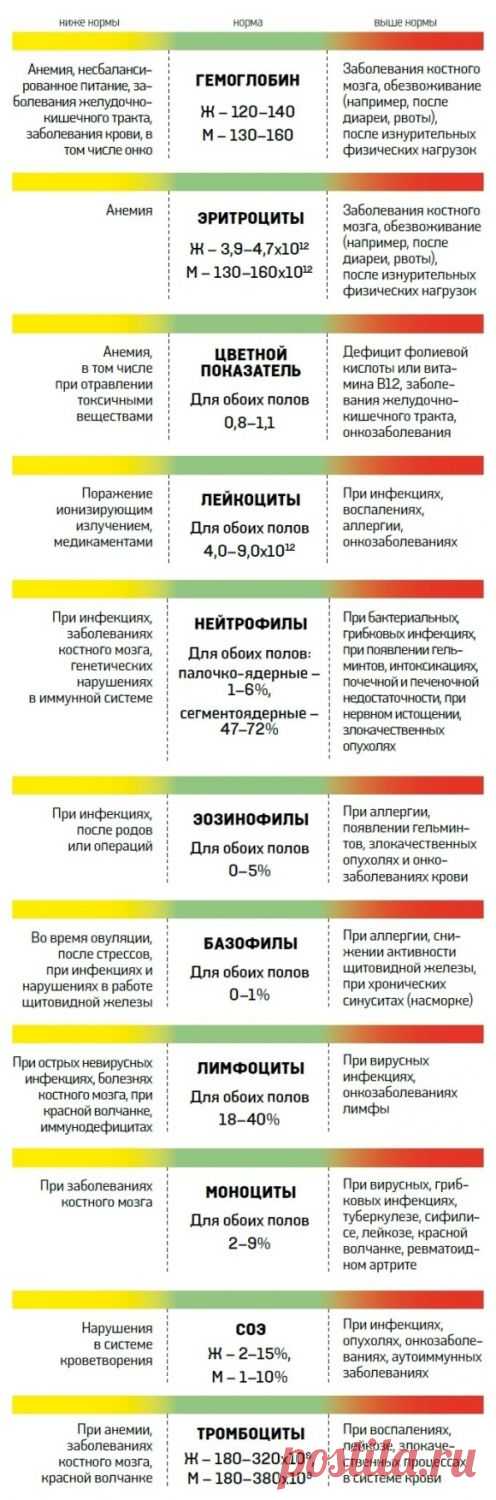 О чем расскажет анализ крови - Новости Украины - From-UA