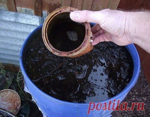 Рецепт удобрения, пользуюсь уже года четыре. Очень здорово! 
 
Много лет назад в моде были японские бактерии, у нас это