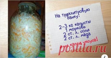 Классическая квашеная капустка по бабушкиному рецепту - Вкусные рецепты - медиаплатформа МирТесен