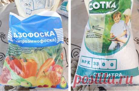 Кормлю клубнику, чтобы дать ей мощный толчок для роста и закладки будущей почки | Уральский Садовод | Яндекс Дзен