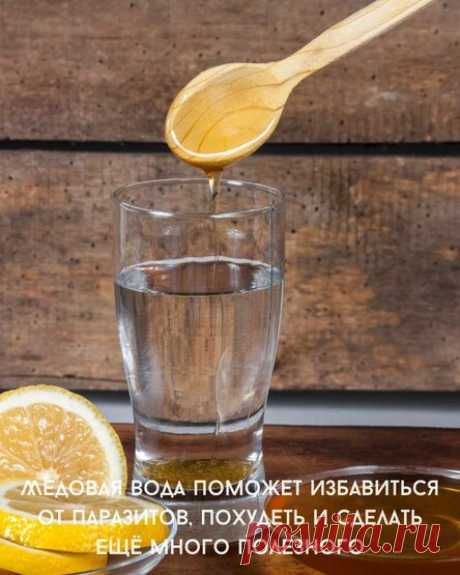 Медовая вода поможет избавиться от паразитов, похудеть и сделать ещё много полезного