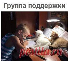 #прикольные картинки Мемы.