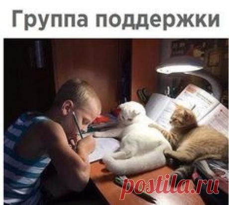 #прикольные картинки Мемы.