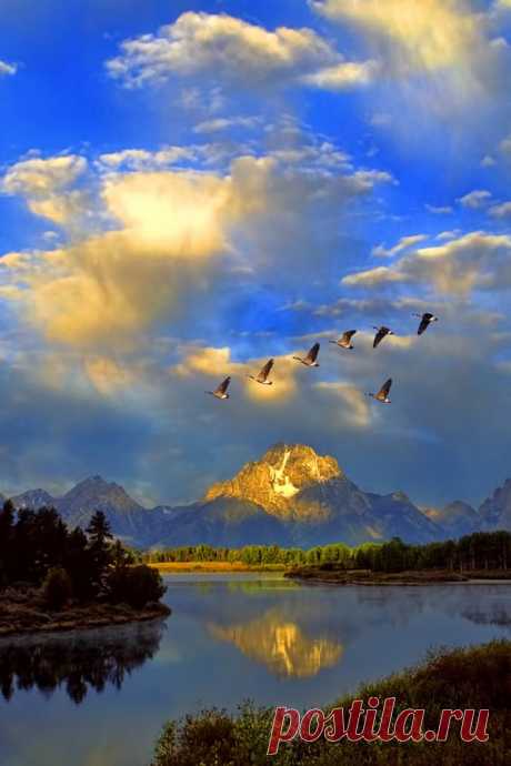 Canada Geese, Grand Tetons National Park от пользователя Mark Lissick на Fivehundredpx  |  Pinterest • Всемирный каталог идей