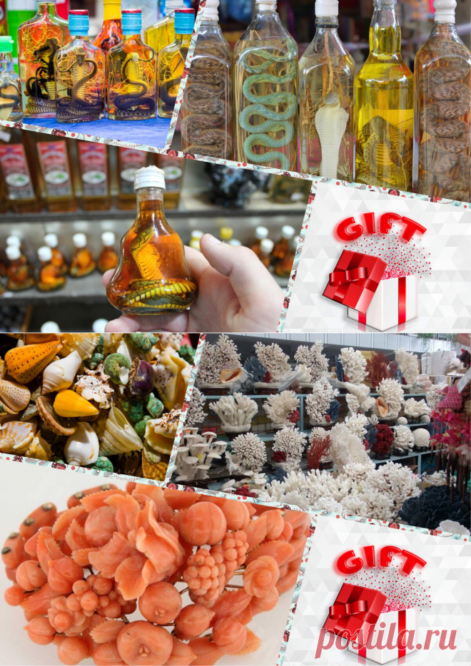 🎁 Вино из змей, перья птиц, моржовая кость и другие сувениры, которых следовало бы избегать | 🎁 СУПЕР ПОДАРОК 🎁 | Яндекс Дзен