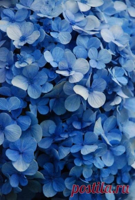 Найдено на сайте thepursuitaesthetic.tumblr.com.