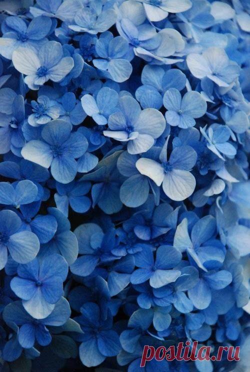 Найдено на сайте thepursuitaesthetic.tumblr.com.