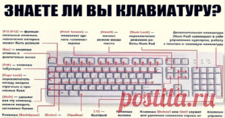 Знаете ли вы клавиатуру на своём компьютере? - Золотые Советы F1— вызывает «справку» Windows или окно помощи активной программы. В Microsoft Word комбинация клавиш Shift+F1 показывает форматирование текста; F2— переименовывает выделенный объект на рабочем столе или в окне проводника; F3— открывает окно поиска файла или папки на рабочем столе и в проводнике. Комбинация клавиш Shift+F3 часто используется для поиска в обратном направлении; F4— открывает выпадающий список, нап...