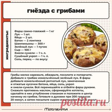 Гнезда с грибами