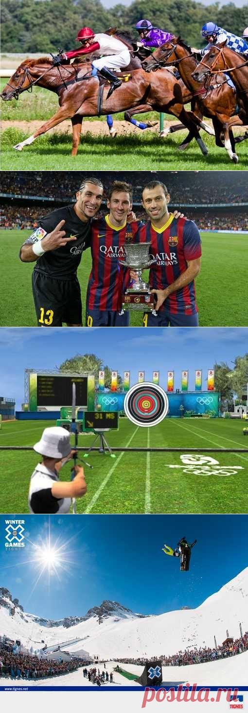 Ходьба скандинавская, Водное поло, Подводный спорт, Биатлон, Новус. (1/1) - Спортивный форум. - Спортивный сайт