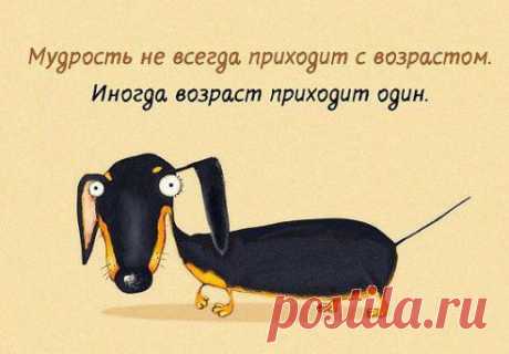 Так что не ждите )))

01:06Деревенские танцы!!!