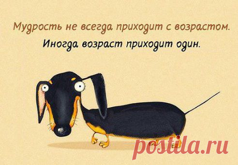 Так что не ждите )))

01:06Деревенские танцы!!!