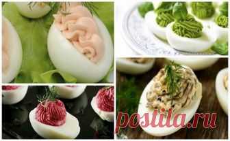 Фаршируем яйца, как профи: 5 вкусных начинок, которые вы полюбите Кто не любит фаршированные яйца, тот просто не умеет их готовить! Даже если вы привыкли готовить яйца по одному и тому же рецепту и делаете так многие годы, попробуйте разочек отойти от привычной кухни