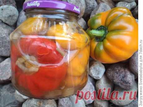 Перцы, фаршированные начинкой из баклажанов, моркови и лука на зиму. Пошаговый рецепт приготовления с фото