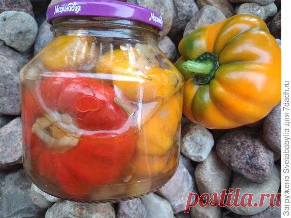 Перцы, фаршированные начинкой из баклажанов, моркови и лука на зиму. Пошаговый рецепт приготовления с фото