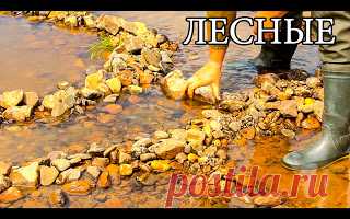 Ловушка для рыбы - КАМЕННЫЙ ЛАБИРИНТ