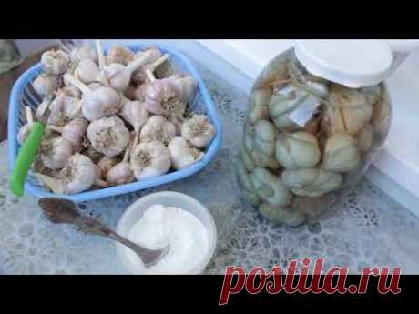 Чеснок Молодой - Как правильно солить? Простой рецепт!