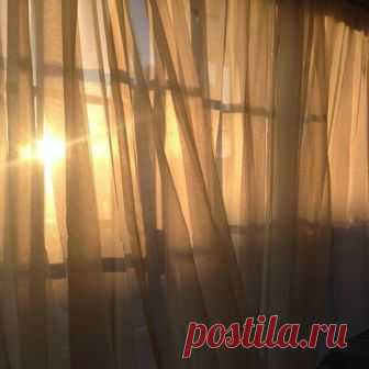 Спасайся (Дикая Собака Динго) / Стихи.ру