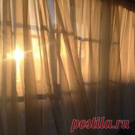 Спасайся (Дикая Собака Динго) / Стихи.ру