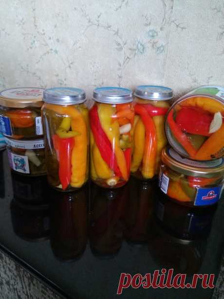 Перец горький на зиму