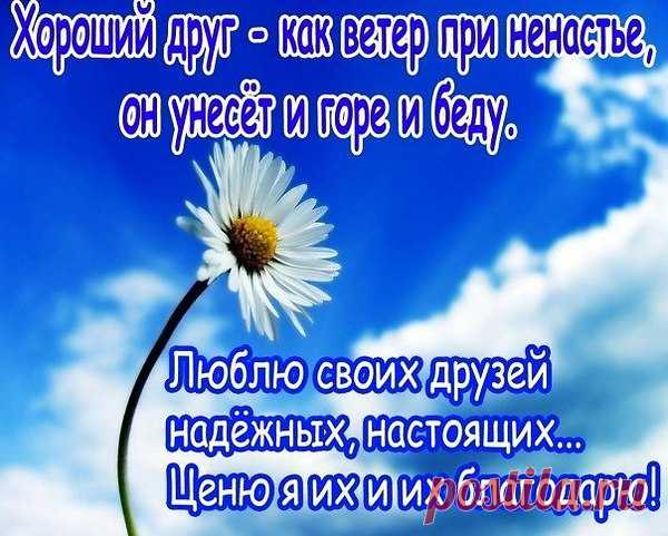 Очень трудно порою по жизни
Настоящего друга найти.
Приложил, видно, руку Всевышний,
Чтобы мы повстречались в пути.
Не узнать, как жизнь сложится дальше…
Что прошло, то прошло – не вернуть.
Благодарна, что не было фальши,
Ну, а если была, то чуть-чуть.
Будем помнить часы и минутки –
Радость светлую искренних встреч.
Остроумные, добрые шутки
Постараемся в сердце сберечь.
Когда холод застанет в дороге,
Память душу согреет теплом…