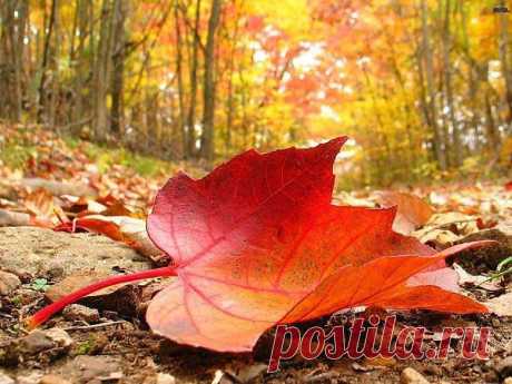 ღ♥ღ Оксана Кудрина ღ♥ღ
41 год, Россия, Зазеркалье