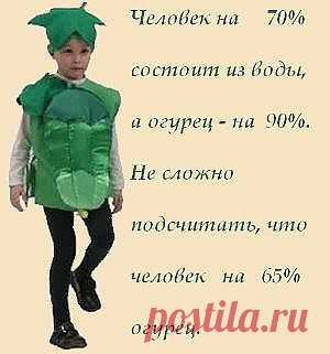 Огуречный сок_Полезные свойства огурцов | Рецепты народной медицины