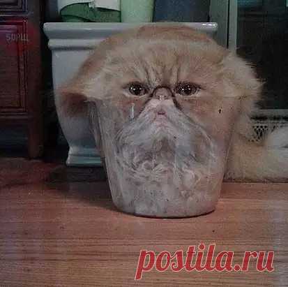 OK.RU
