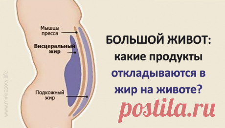 Большой живот: какие продукты провоцируют образование жира вокруг талии? Порой представительницы прекрасного пола и правильно питаются, и диеты соблюдают, и режима дня придерживаются, а ненавистный жир с живота так никуда и не уходит.

Иметь стройную фигуру и тонкую талию хочется каждой женщине. Вот только порой представительницы прекрасного пола и правильно питаются,