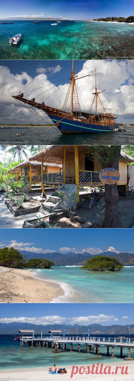 Заповедник для хулиганов / Туристический спутник