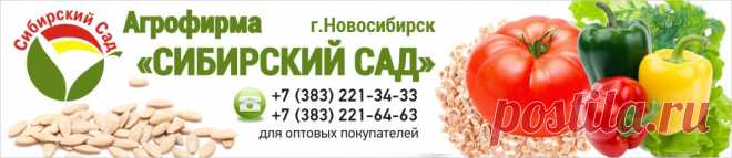 Интернет магазин