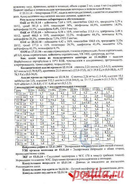 Выписка ч.2. Ансар