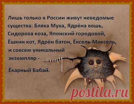 (154) Светлана Кошевая