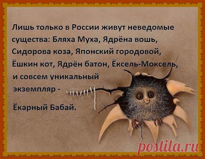 (154) Светлана Кошевая