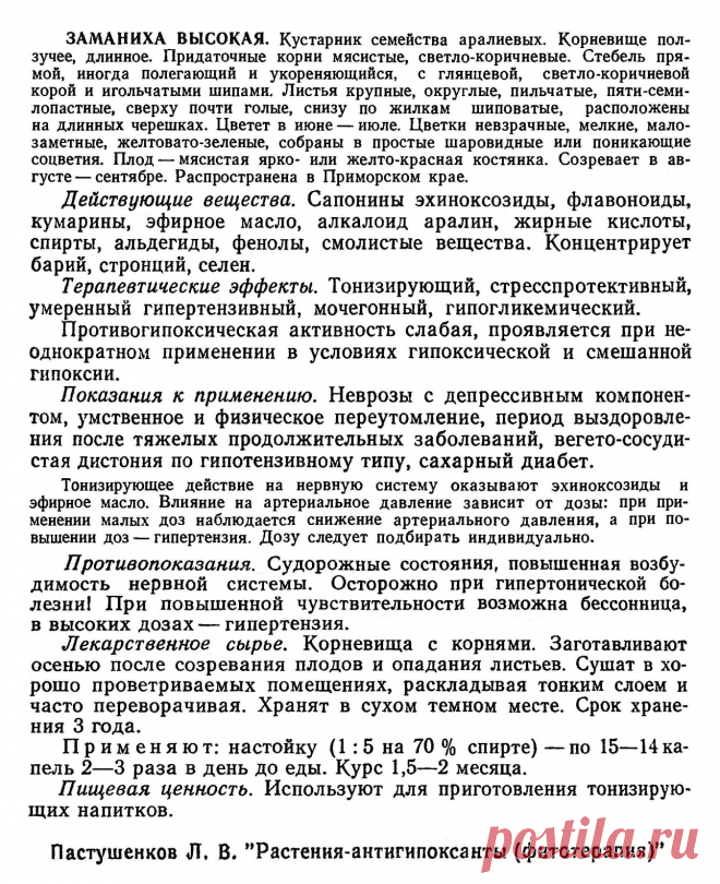 Заманиха высокая