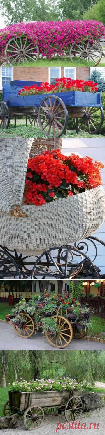 Цветники в телегах и тачках. - Садоводка