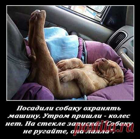 Интересные новости