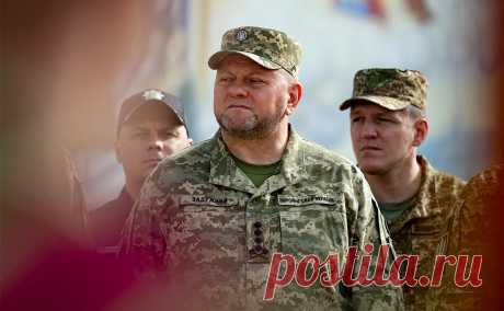 WSJ узнала о споре ВСУ с Пентагоном об оживлении контрнаступления. Власти США считают, что украинские силы слишком рассредоточены и им нужно сконцентрироваться на юге, пишет WSJ. Главком ВСУ в одной из бесед с американцами сказал, что они не понимают «природу этого конфликта», отмечает газета