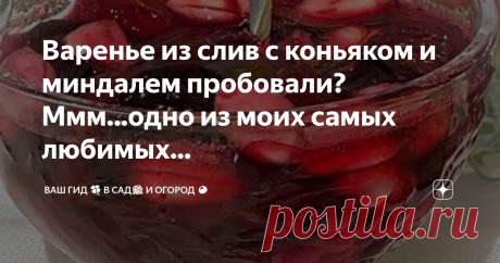 Варенье из слив с коньяком и миндалем пробовали? Ммм...одно из моих самых любимых... В выходной буду варить ещё одно моё любимое варенье в зимние запасы.
Это последнее в этом сезоне, больше варенье варить не буду.
Варенье из слив с коньяком и миндалем.
🍀 Сливы и сахар 1 : 1.